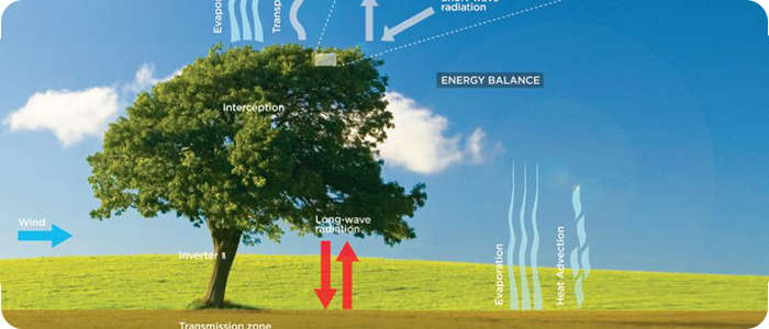 Энергоэффективные искусственные деревья