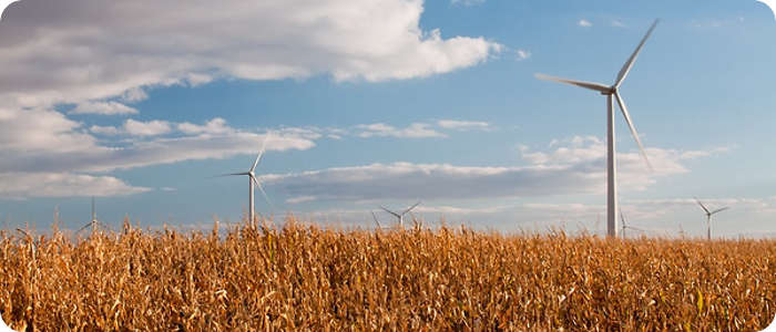 Ветроэнергетика поможет сохранить посевы