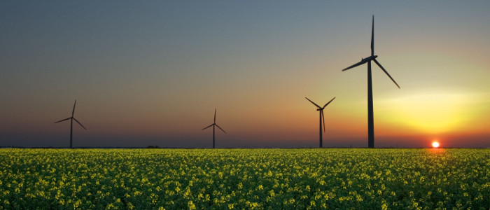Пять объективных фактов о альтернативной энергетики