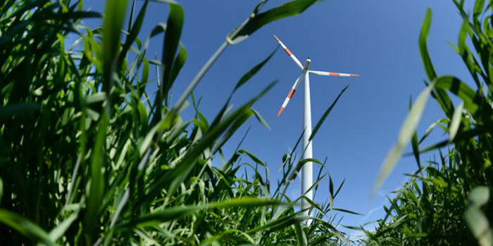 Германия продолжает активно развивать возобновляемую энергетику