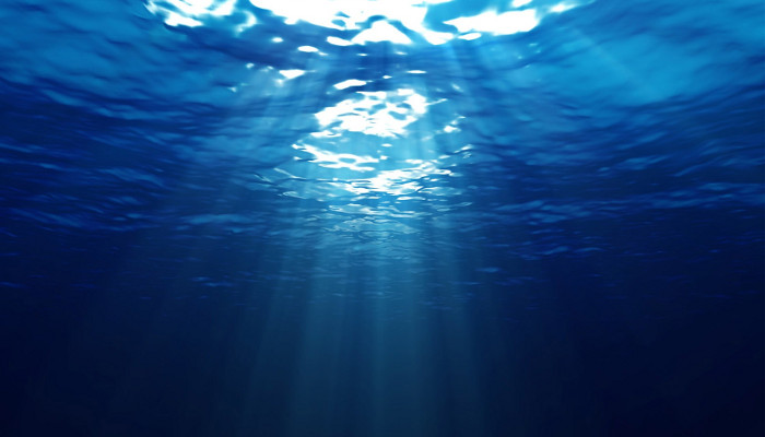 Ученые рассматривают возможность получения урана и других полезных элементов из морской воды